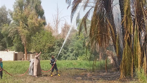 جانب من جهود الحماية