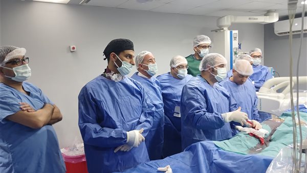 أول دبلومة مهنية