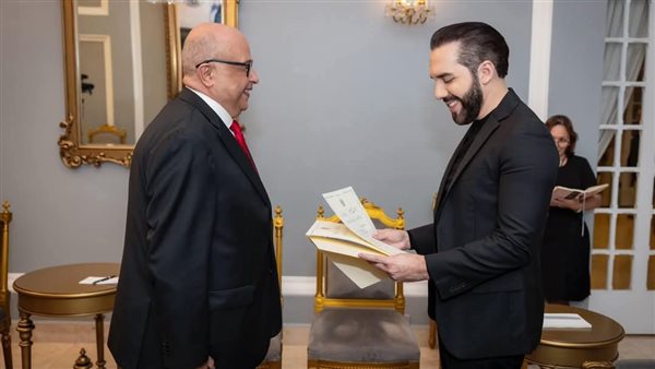 السفير المصري