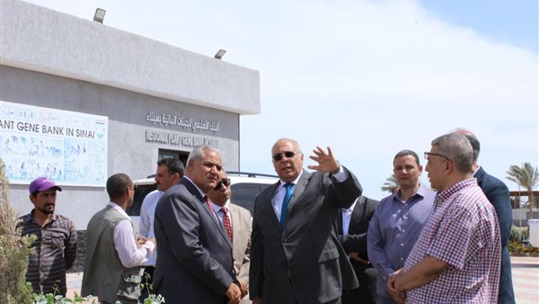 جانب من ورشة العمل