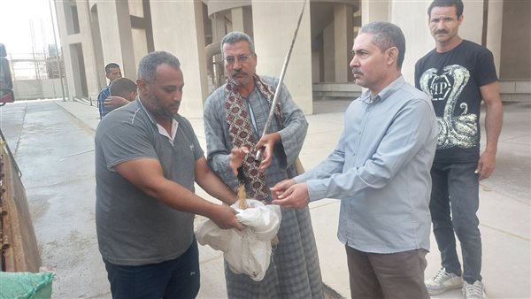 جانب من الفاعليات