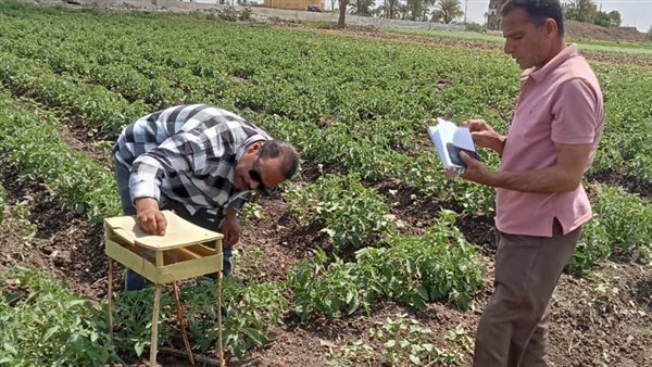 جهود المركزية لمكافحة