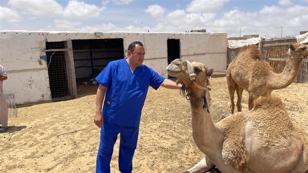 مركز بحوث الصحراء