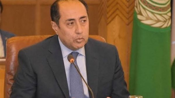 السفير حسام زكي