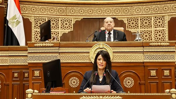 الدكتورة رانيا المشاط