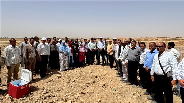 محافظة أسوان