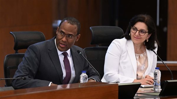 نائب مدير صندوق النقد