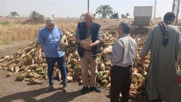 محافظ أسيوط