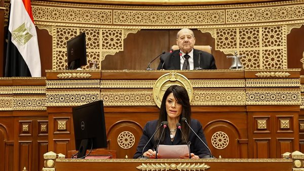 الدكتورة رانيا المشاط