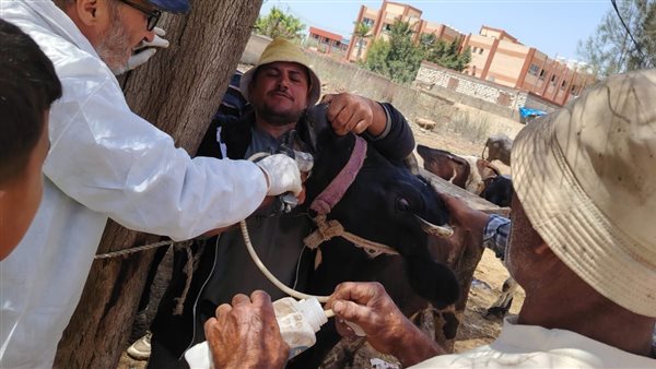 الهيئة العامة للخدمات