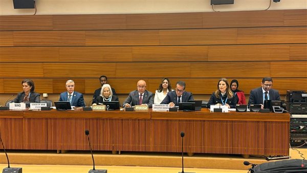 وزير الصحة أمام الهيئة