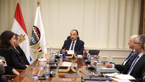 المهندس محمد شيمي