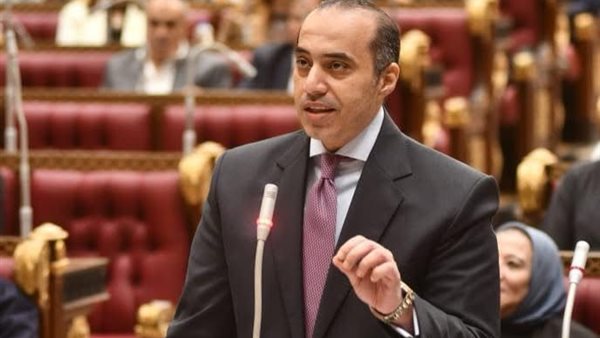 المستشار محمود فوزي