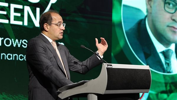 وزير المالية 