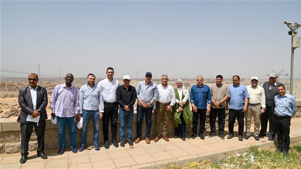 محافظة أسوان