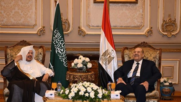 رئيس مجلس الشيوخ