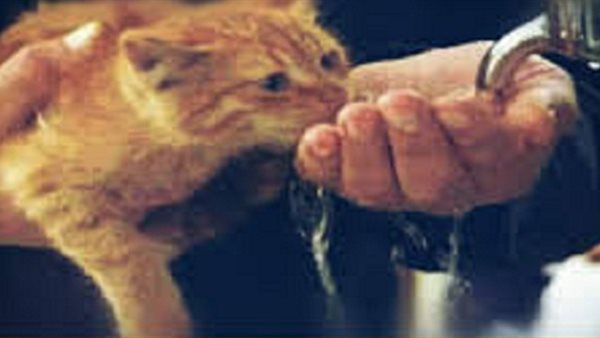 صورة تعبيرية 