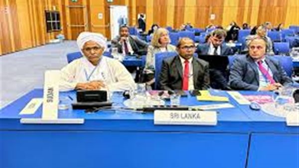 السفير مجدي مفضل