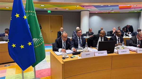 الجلسة العامة المعنية