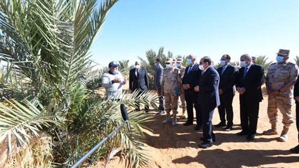 جولة الرئيس السيسي