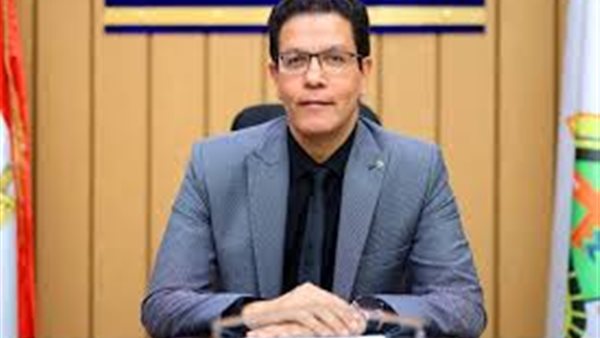 ناصر الجيزاوي