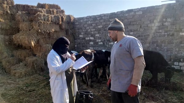 الطب البيطرى بكفرالشيخ