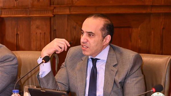  المستشار محمود فوزي