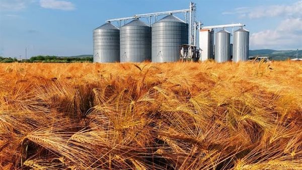 صوامع القمح