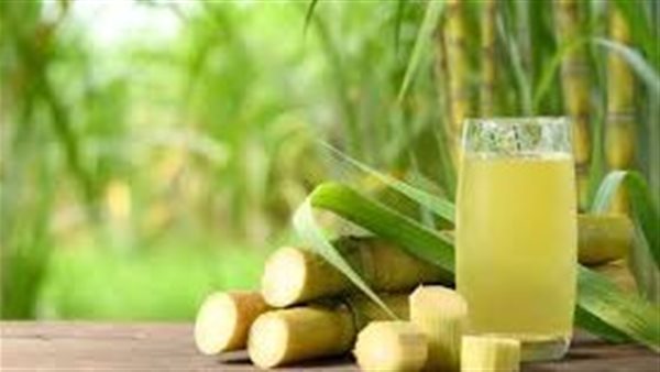 الكمية المناسبة لشرب