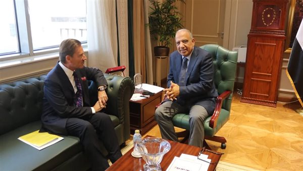 وزير الكهرباء وسفير