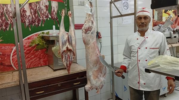 جانب من الفاعليات