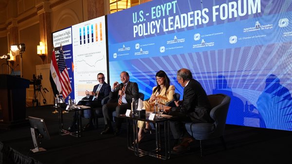 أحمد كجوك وزير المالية