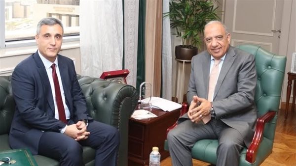 وزير الكهرباء والسفير