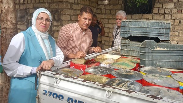 صورة توضيحية 