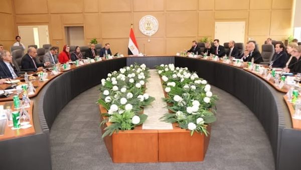 وزير الكهرباء بالعاصمة