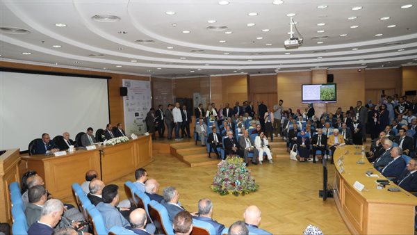 جانب من الفاعليات