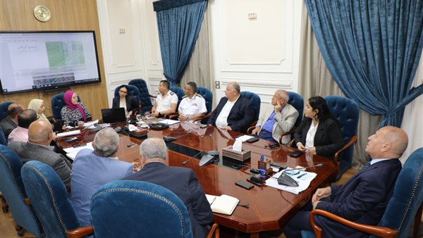 محافظ القاهرة 