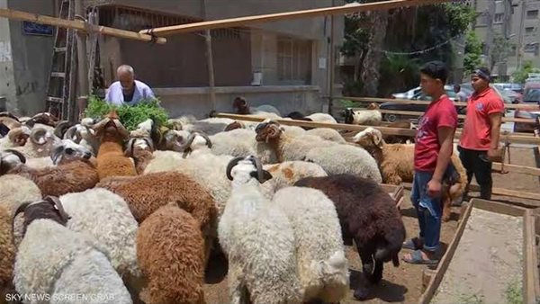 عقوبات مالية على