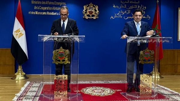  وزير الخارجية المصري