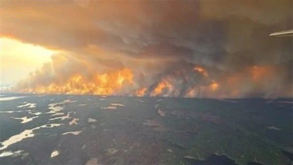 حرائق الغابات 