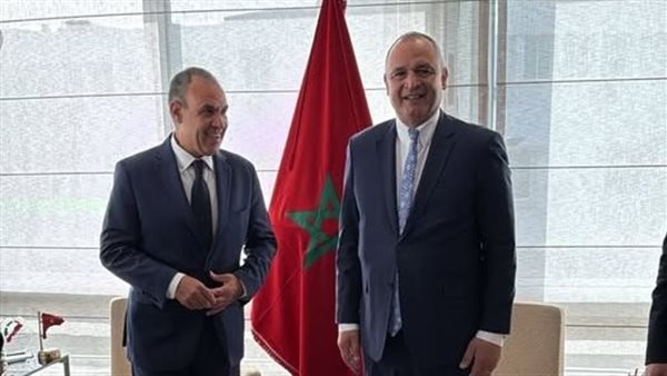  وزير الخارجية المصري