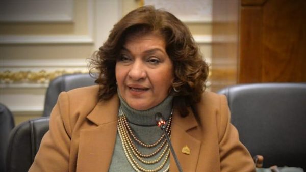 النائبة ايفلين متى