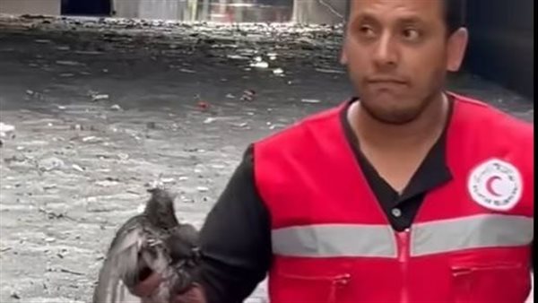 قائد بالهلال الاحمر