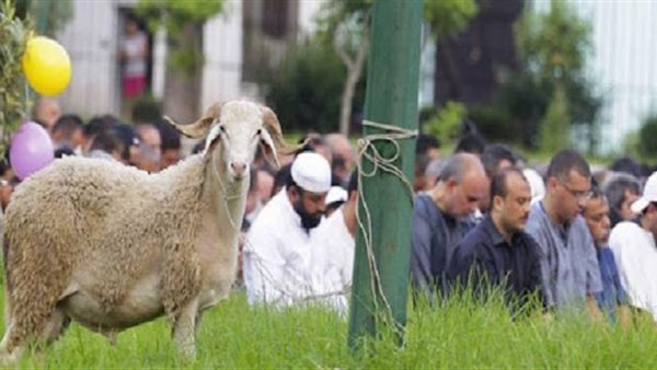 مظاهر الاحتفال بعيد الأضحى