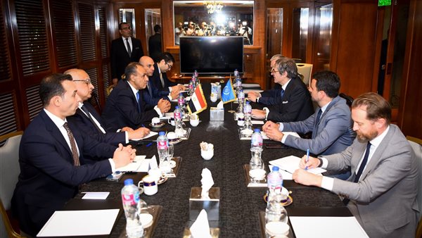  وزير الخارجية المصري