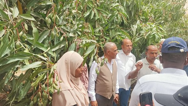 جانب من الجهود والأنشطة