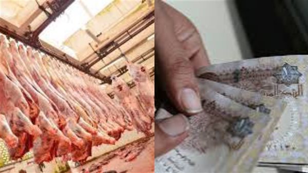 أموال أم لحوم بدلا