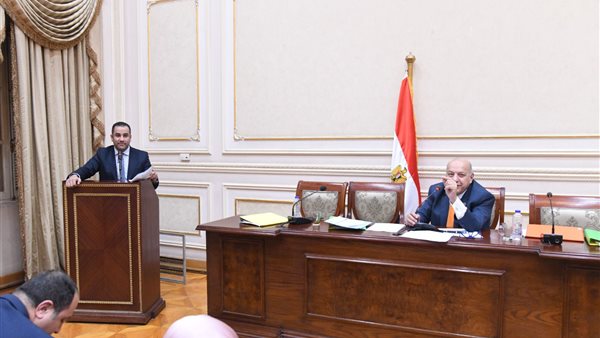 النائب أحمد علي