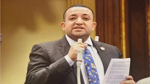 النائب تامر عبد القادر