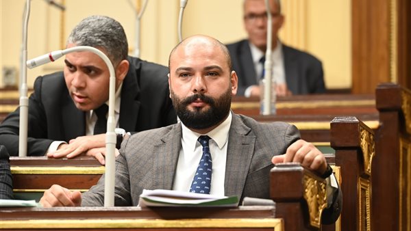 النائب ابراهيم الديب